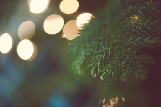 portra 160-9572 + warmth + hh