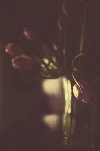 px70-2222 + hazy smoments