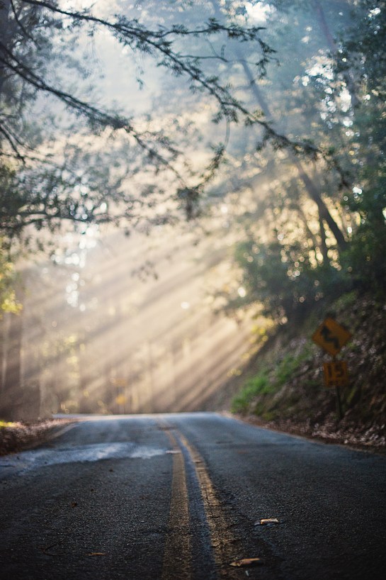 light