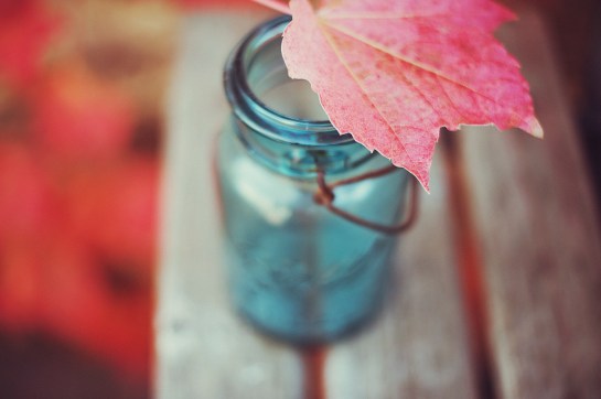 autumn