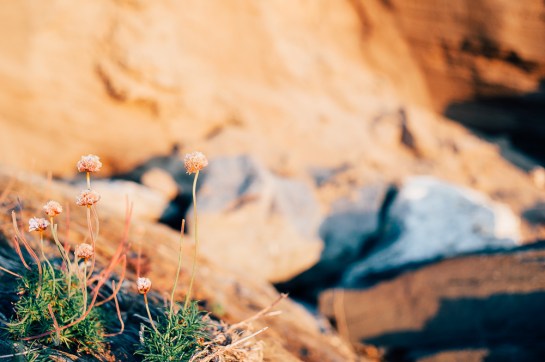 deborah_slater_July 19, 2014_0299